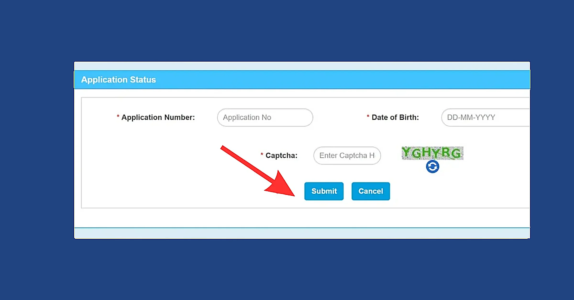 driving licence status check process
